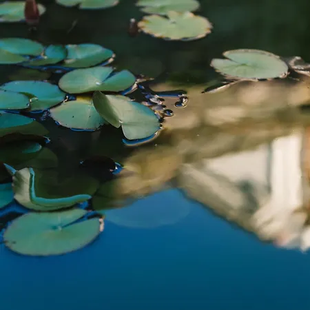 Flor Do Mar House * Πόντα Ντελγκάντα