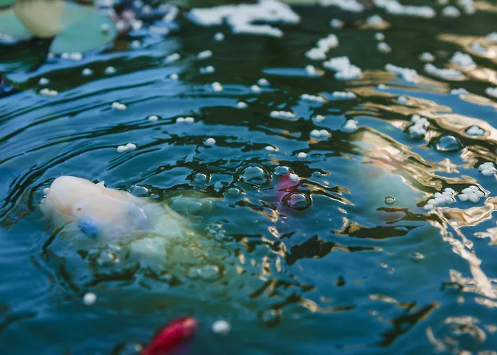 Flor Do Mar House 아파트 Ponta Delgada